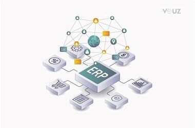 Enterprise Resource Planning