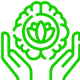 Security That Supports Business Growth